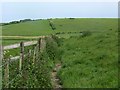 Footpath near Coombe