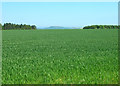 Farmland near R.A.F.  Staxton Wold