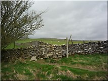 SD7769 : From one stile to another by DS Pugh