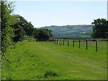 TQ0315 : Wey South Path looking towards Amberley Wild Brooks by Dave Spicer