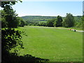 11th Tee in Darenth Valley Golf Course