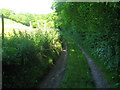 Track to Shepherds Barn Cottage