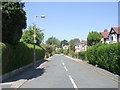 Floral Avenue - Potternewton Lane