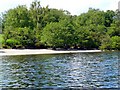 Beach on Inchcruin island