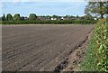 Farmland near Newbold Verdon