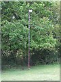 Floodlight on disused rugby pitch, Cilhendre