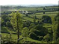 Gatcombe Brook valley