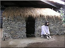 C4251 : Doagh Famine Village (17) by Kenneth  Allen