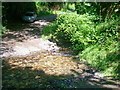 Ford At River Wenallt, Login