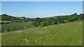 View of Timberden Bottom Valley