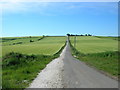 Track to Spaniel Farm