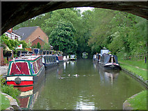 SJ8220 : Shropshire Union Canal at Gnosall Heath, Staffordshire by Roger  D Kidd