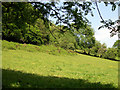 Field below Cerbynau