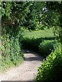 Footpath, Folds Farm