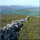 NN9364 : Dry stone wall heading south west on Meall an Daimh by Russel Wills