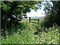 Stile and footpath, Prescombe Down