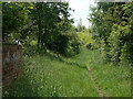 Footpath along the railway track