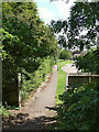 Footpath at Cranberry Close