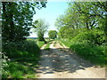 Green Lane to High Field