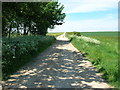 Bridleway towards Rosemount Farm