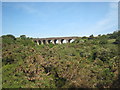 Chacewater viaduct