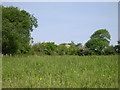 Farmland at Pantroity