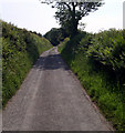 Country road near Gelynen