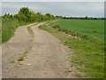 Track by Fairham Brook Bunny