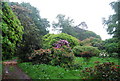 SD1096 : Colour in the grounds of Muncaster Castle by N Chadwick