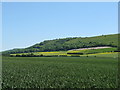 Field view SE towards Turnpike Road the B2139