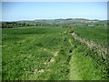 SJ0777 : Offa's Dyke Path south of Marian Cwm by Chris Heaton