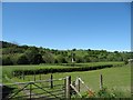 Pasture towards the Wye