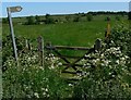 Public bridleway to Great Dalby