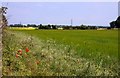 Arable field off Thame Lane