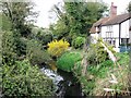 Wendover Arm: Looking west from Bridge No 9