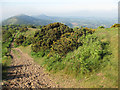 Hazy morning on the Malvern Hills