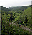 Cothi valley from road to Llidiad Nenog.