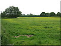 Fields Near Agden Hall