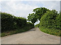 Carr Green Lane, Looking North