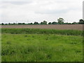 Fields Near Broad Oak Farm