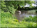 Pond, Lower Green