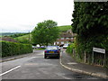 Target Firs from Green Lane