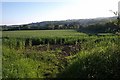 Field beside Bewley Common