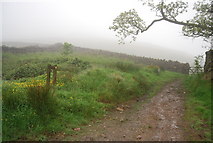 NY1701 : Footpath to Gill Bank in the mist by N Chadwick