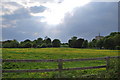 Across Fields towards St Marys Pirton