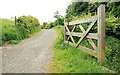 The Lagan Meadows walk, Belfast (6)