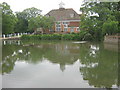 Village Pond