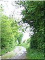 SU5621 : Footpath near Dean by Maigheach-gheal