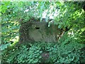 SU6190 : Hidden in the branches by Bill Nicholls