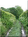 Bridleway, East Harting